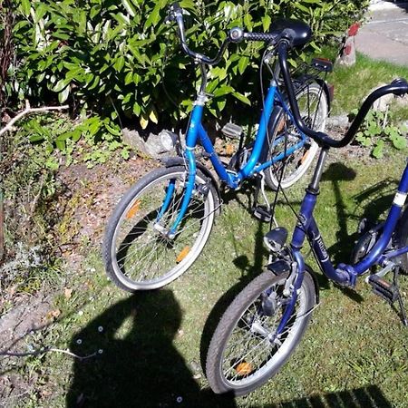 Ferienwohnung Am Mittelburgwall Friedrichstadt Εξωτερικό φωτογραφία